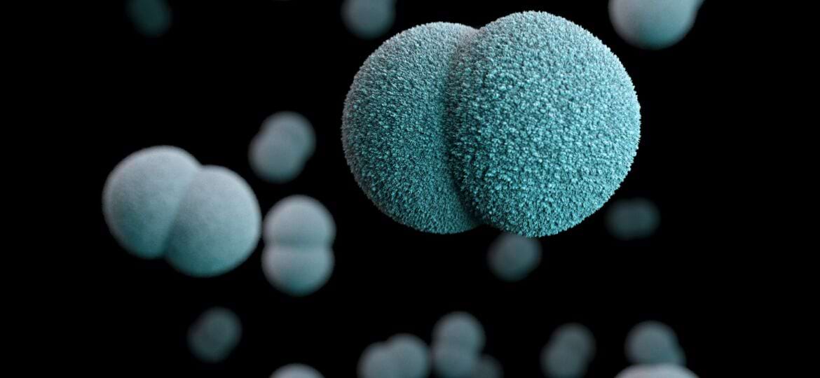 bacteries