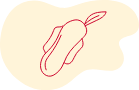 ecologique